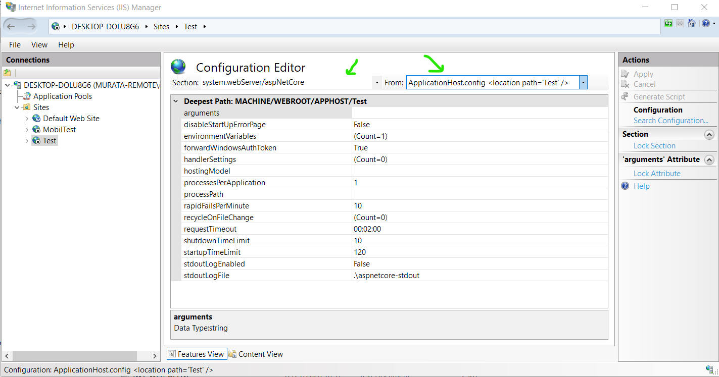 IIS Settings_3