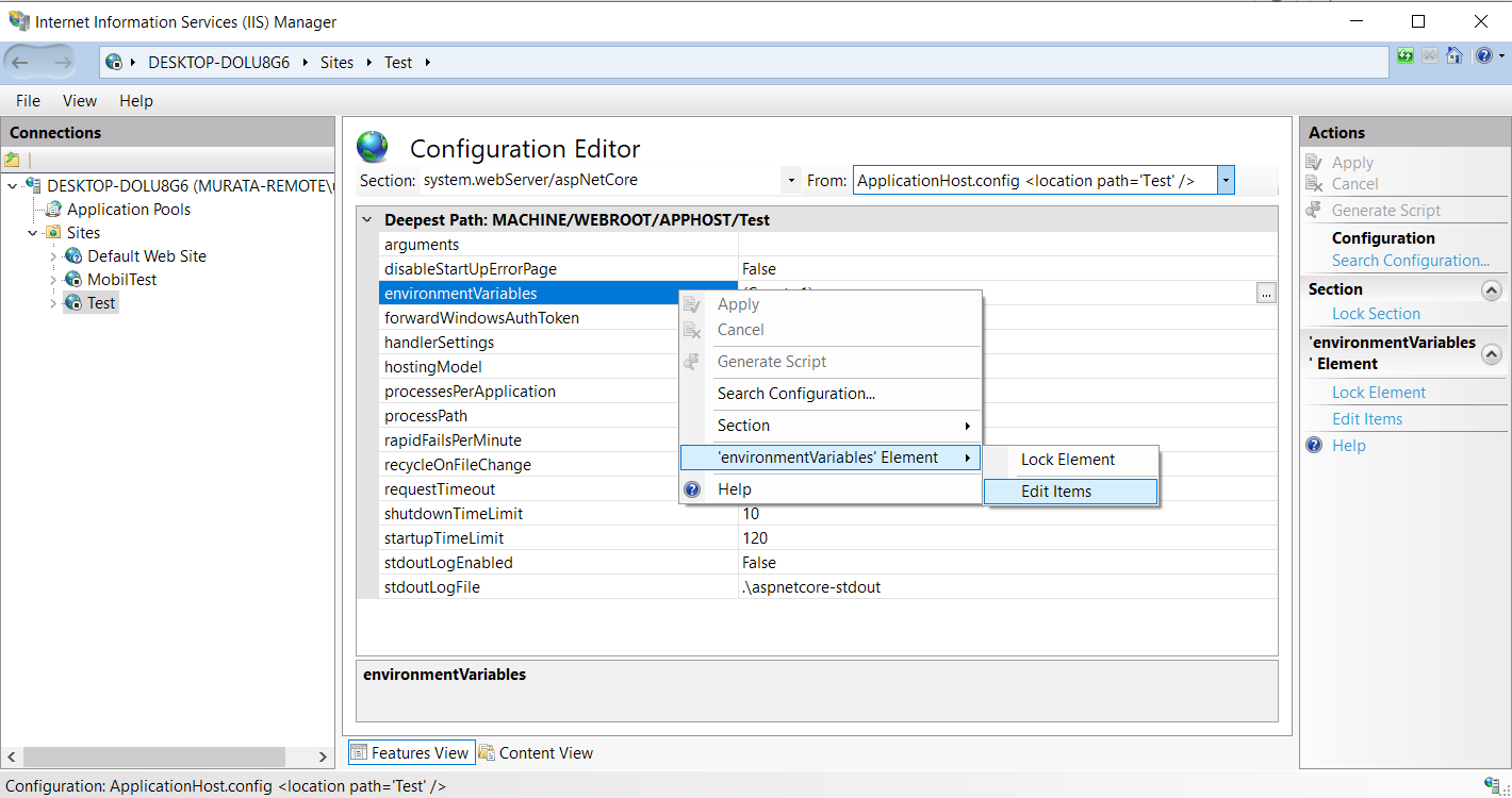 IIS Settings_4